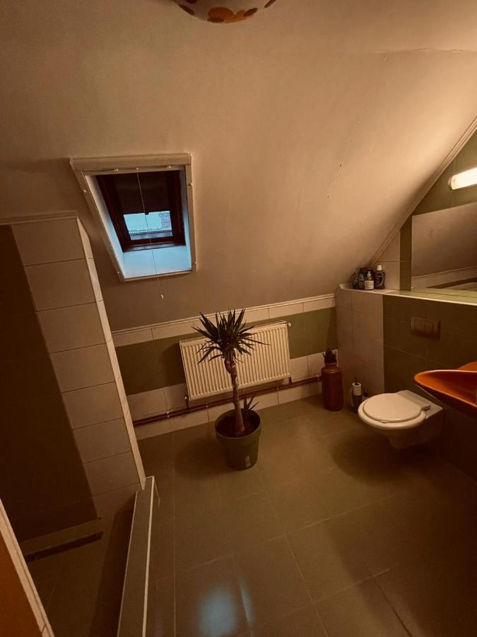 Casa Verde Foeni Bagian luar foto